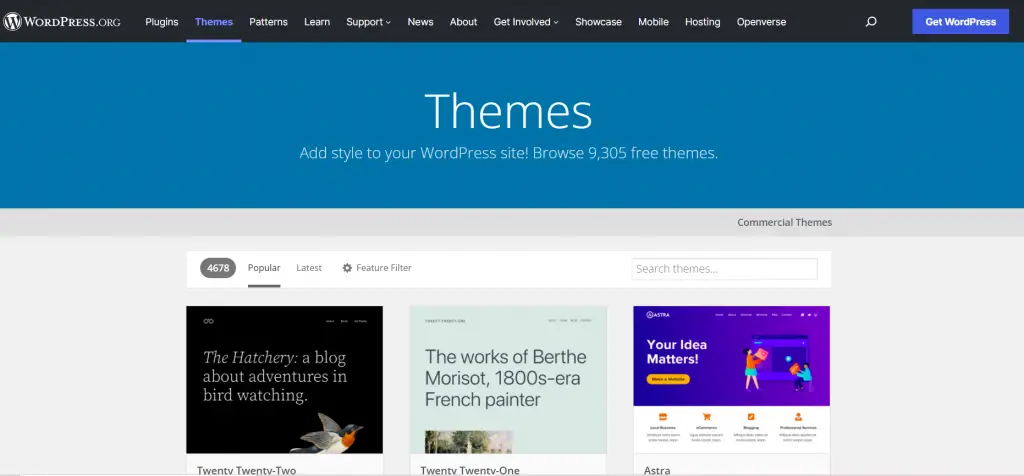 WordPress webpage view
